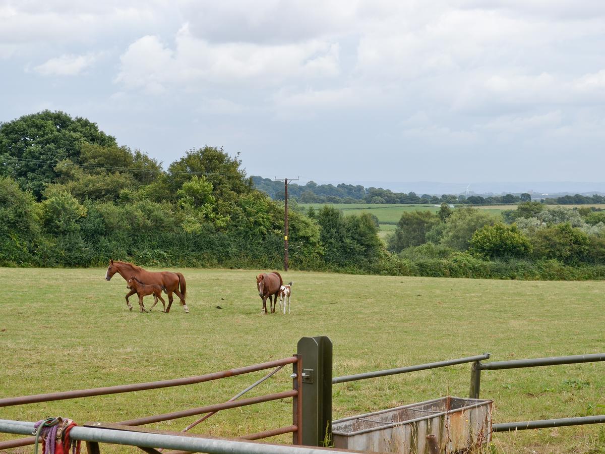 The Stables Villa Woolaston Bagian luar foto